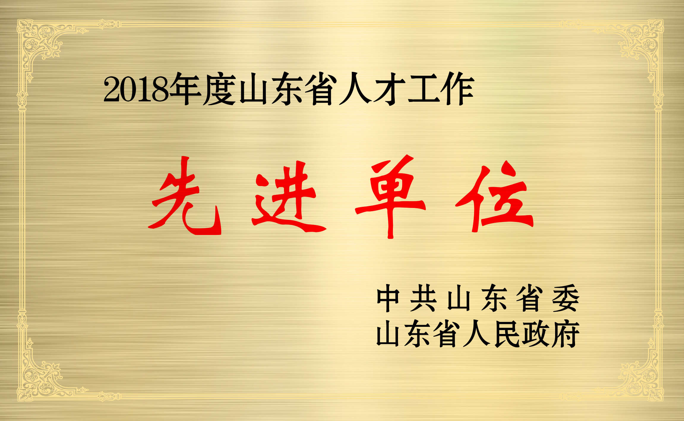 山東省人才工作先進(jìn)單位